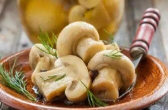 Мариновані шампіньйони - рецепт приготування