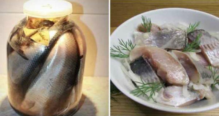Маринований оселедець - рецепт приготування