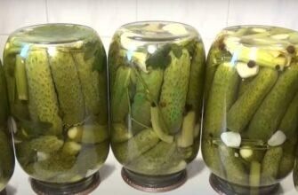 Мариновані огірки з селерою, кропом і часником